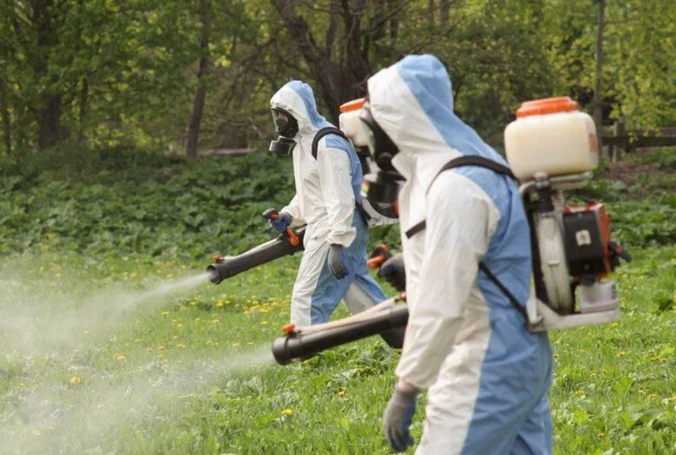 ФОТО Уничтожение клопов в Туголесском Боре