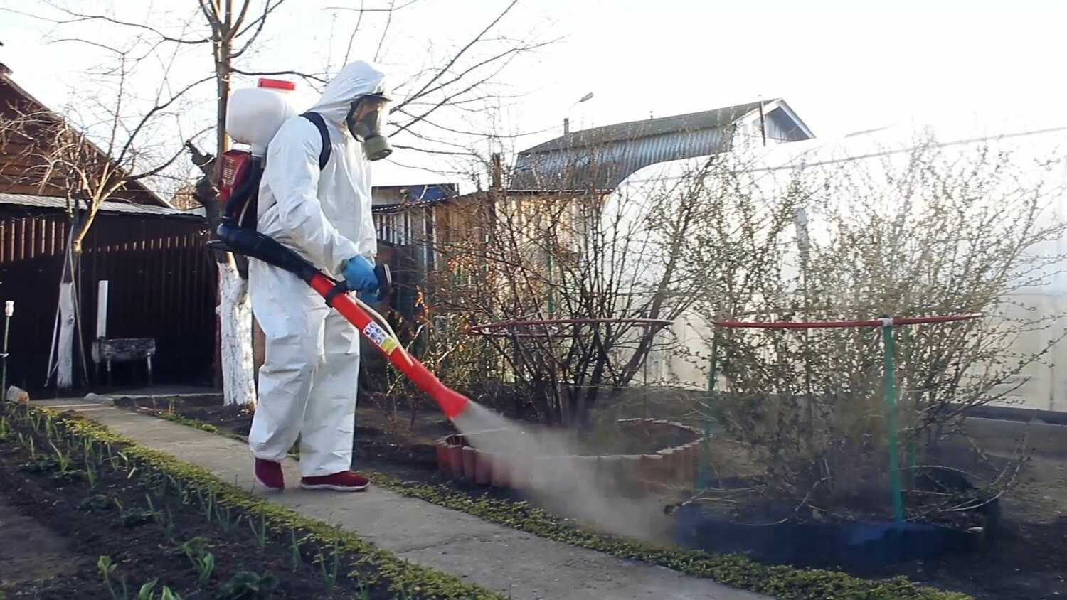 ФОТО Уничтожение муравьёв в Туголесском Боре
