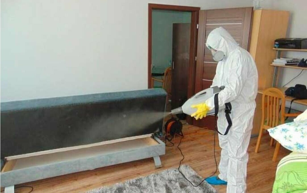 ФОТО Уничтожение блох в Туголесском Боре