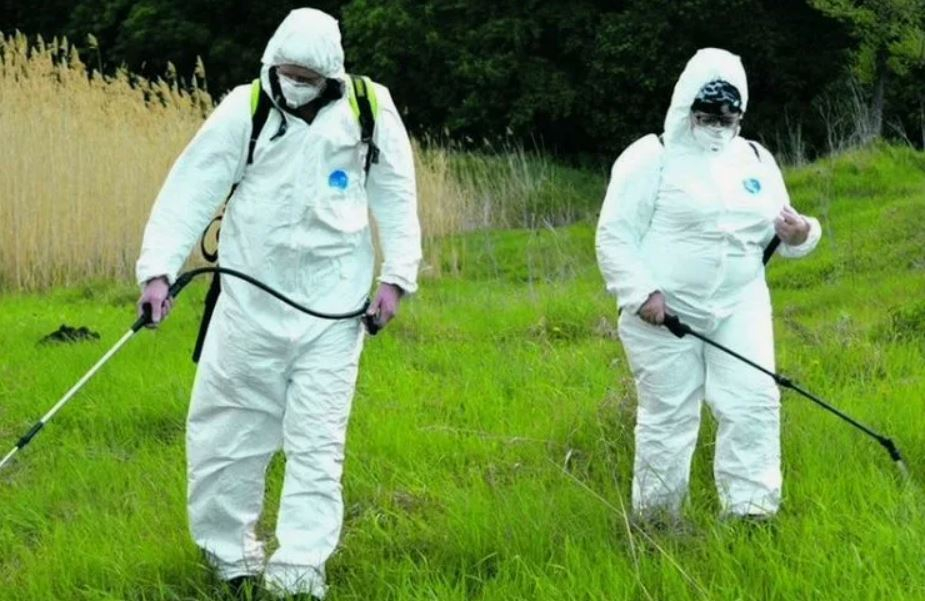 ФОТО Обработка от клещей в Туголесском Боре