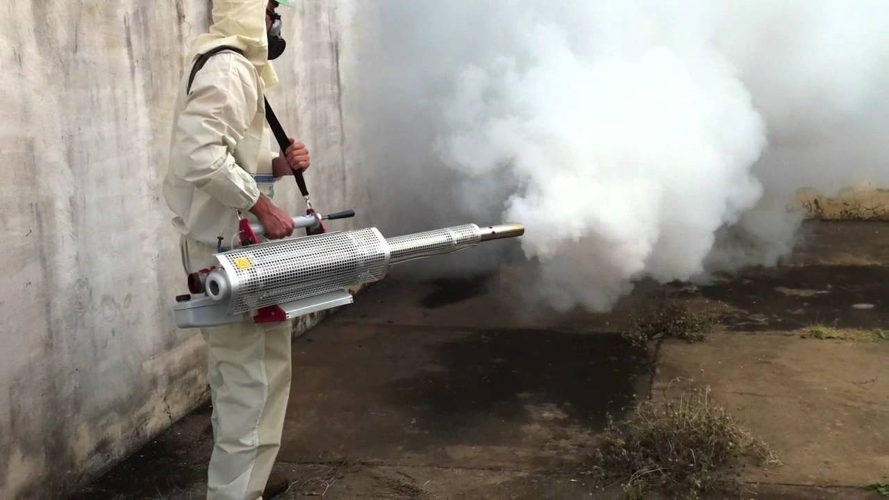 ФОТО Уничтожение мух в Туголесском Боре