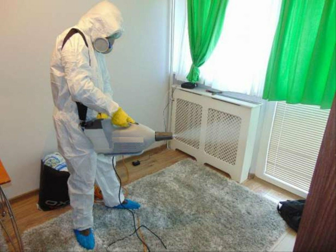 ФОТО Сколько времени занимает обработка при дезинсекции в Туголесском Боре? | подробно