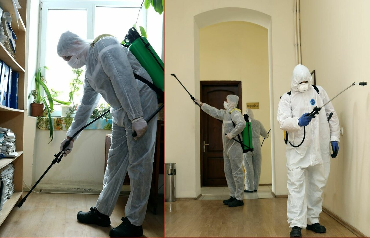 ФОТО Требуется ли лицензия для дезинсекции и дезинфекции в Туголесском Боре? | подробно