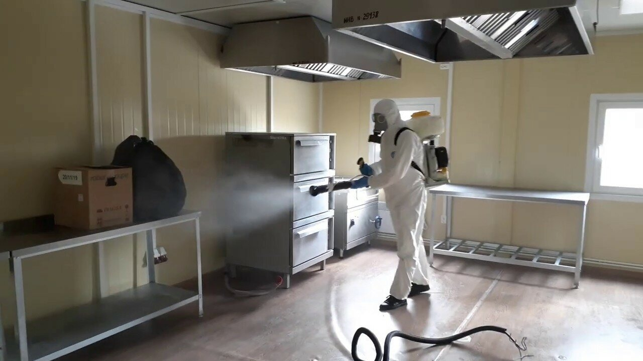 ФОТО Можно ли провести дезинсекцию самостоятельно и какие существуют риски в Туголесском Боре? | подробно