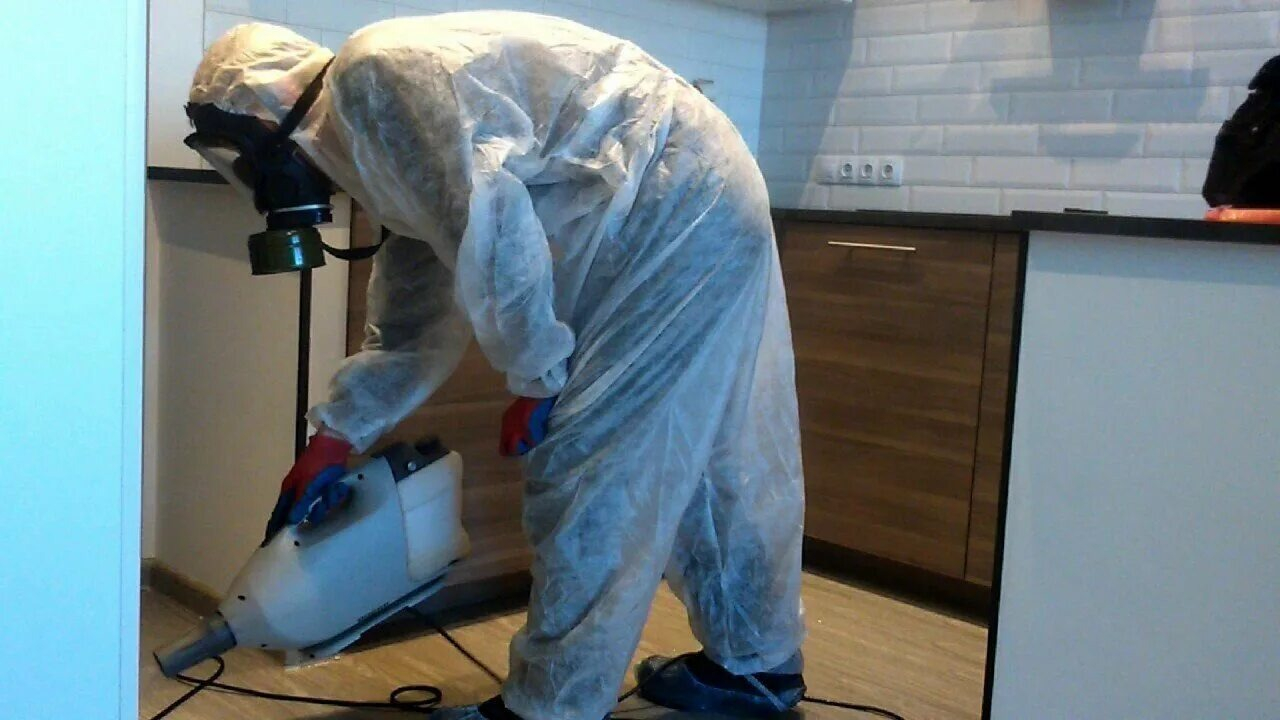 ФОТО Как подготовить домашних животных к обработке от насекомых в Туголесском Боре? | подробно