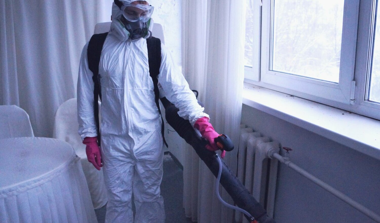 ФОТО Нужно ли выносить растения при дезинсекции в Туголесском Боре? | подробно