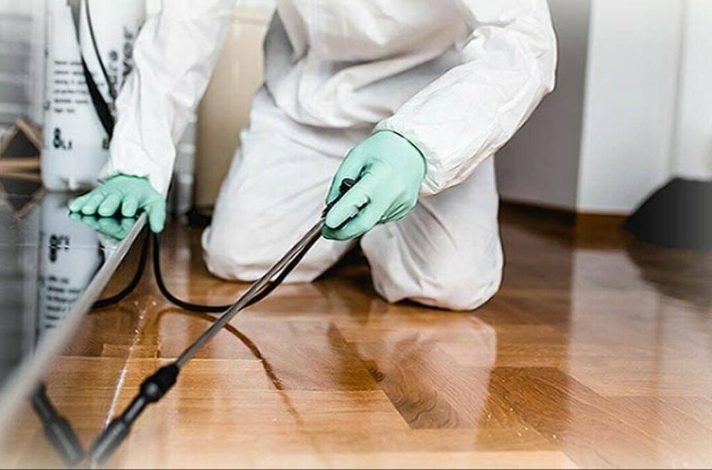 ФОТО Как подготовить вентиляцию при предстоящей дезинсекции в Туголесском Боре?