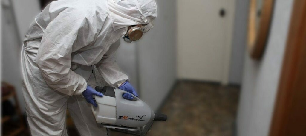 ФОТО Остаются ли следы после обработки квартиры от насекомых в Туголесском Боре? | подробно