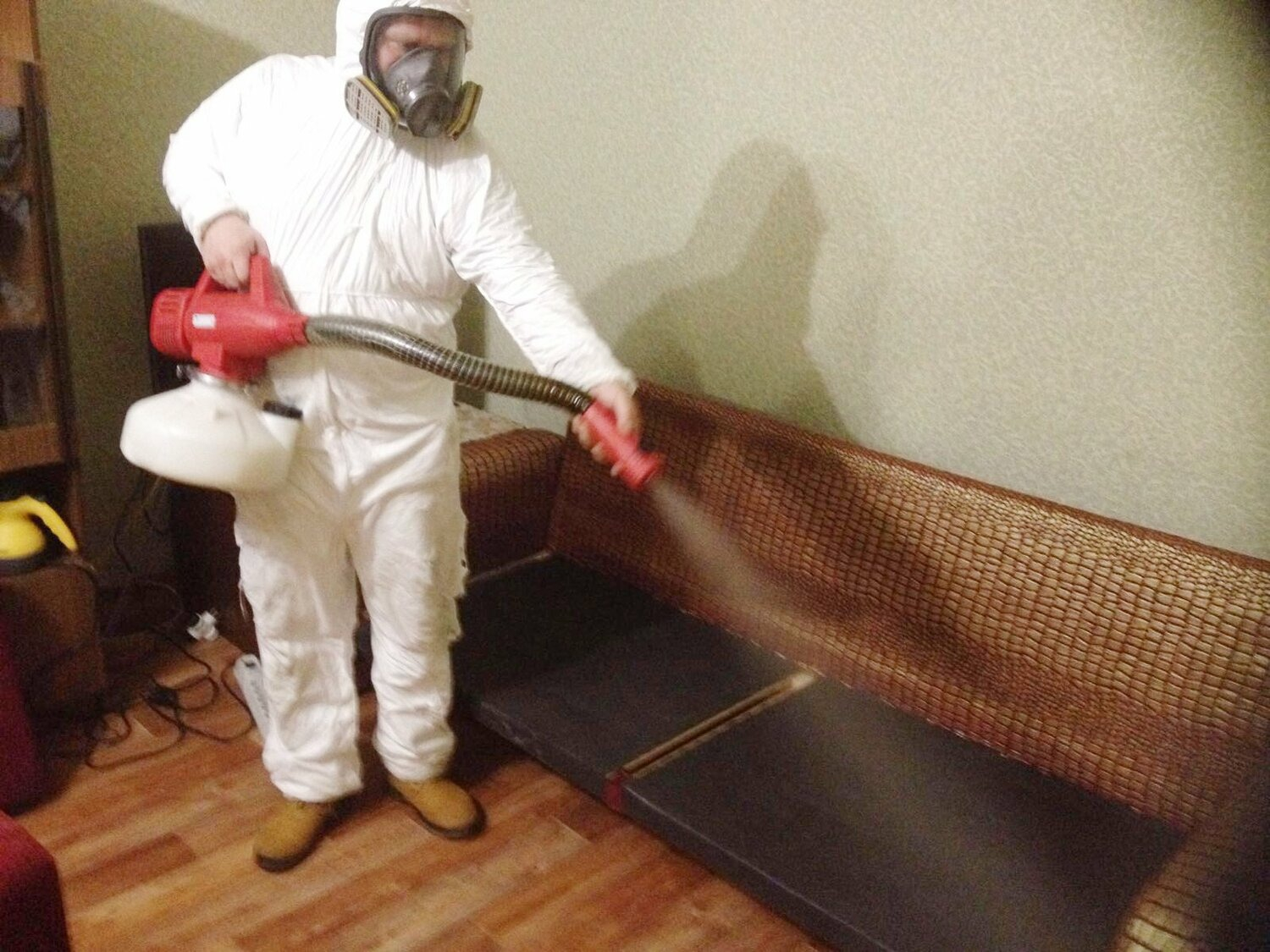 ФОТО Когда можно вернуться в помещение после дезинсекции в Туголесском Боре? | подробно