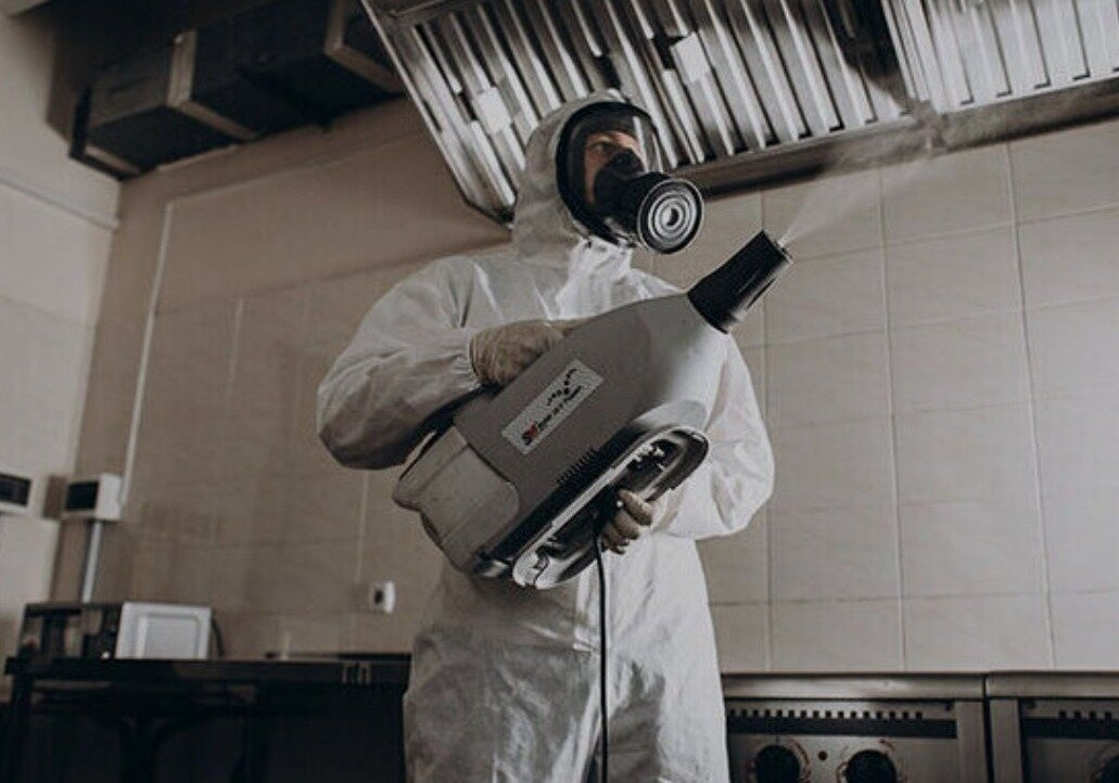 ФОТО Как проветривать помещение после обработки от насекомых в Туголесском Боре? | подробно