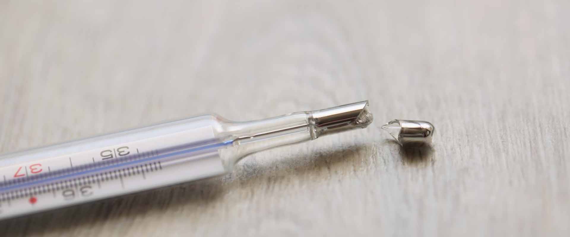 фото: Демеркуризация от ртути в Туголесском Боре: меры безопасности и современные технологии