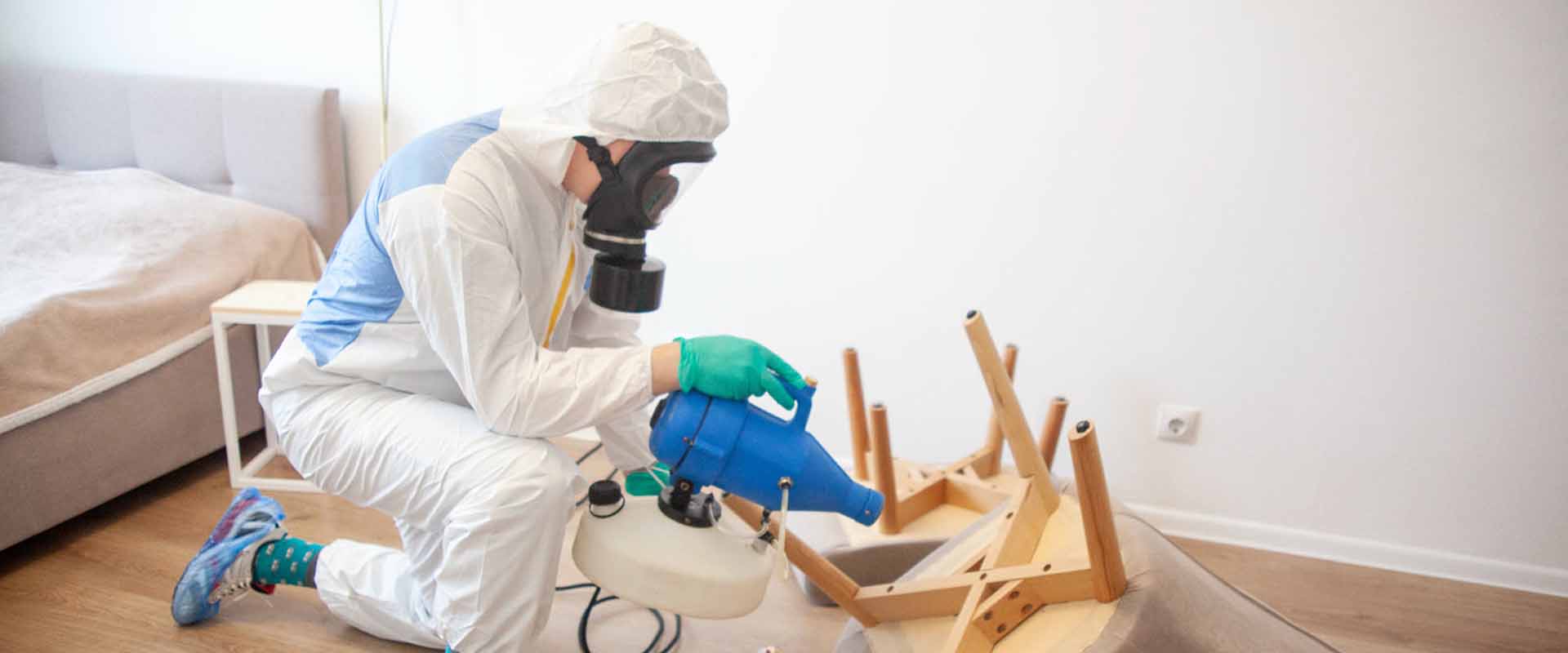 фото: Уничтожение постельных клопов с 1-го раза с гарантией за 30-60 мин. в Туголесском Боре без предоплаты