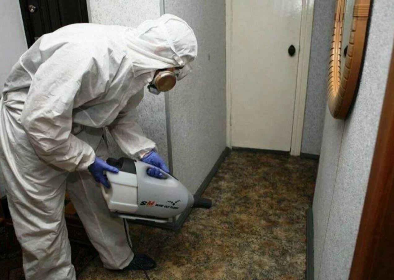 фото: Профессиональная дезинсекция в Туголесском Боре: <br/>+7-909-173-42-96