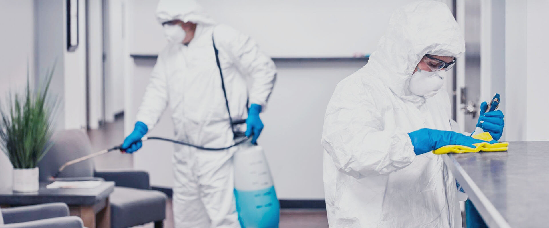 фото: Профессиональная дезинфекция в Туголесском Боре: <br/>+7-909-173-42-96